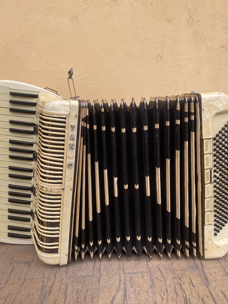 acordeon Hohner Tango 120 basi ( pentru piese )
