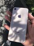 Apple 8