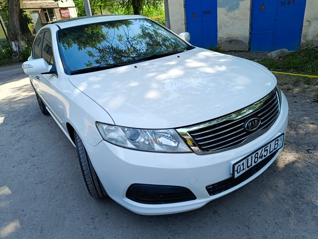 Prodayotsa kia optima