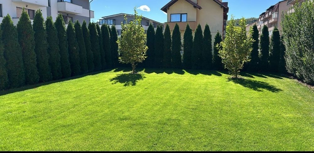 Toaletări pomi , tuns gard viu , curățat thuja