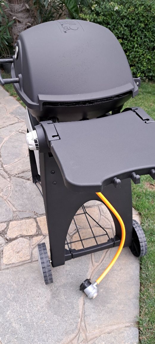 Газово Барбекю Weber Q 3000