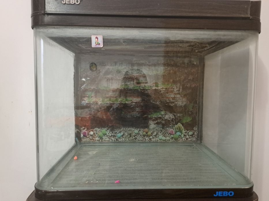 Аквариум со шкафом