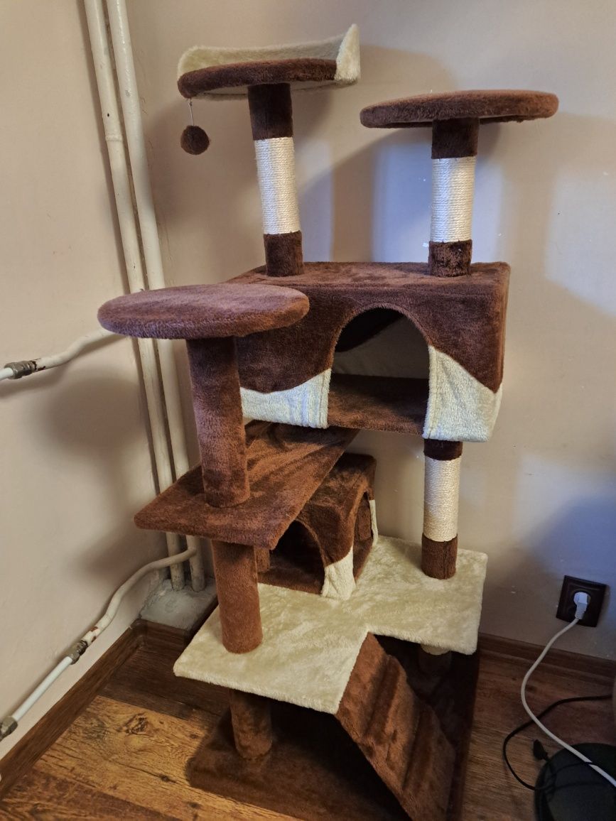 Котешка катерушка