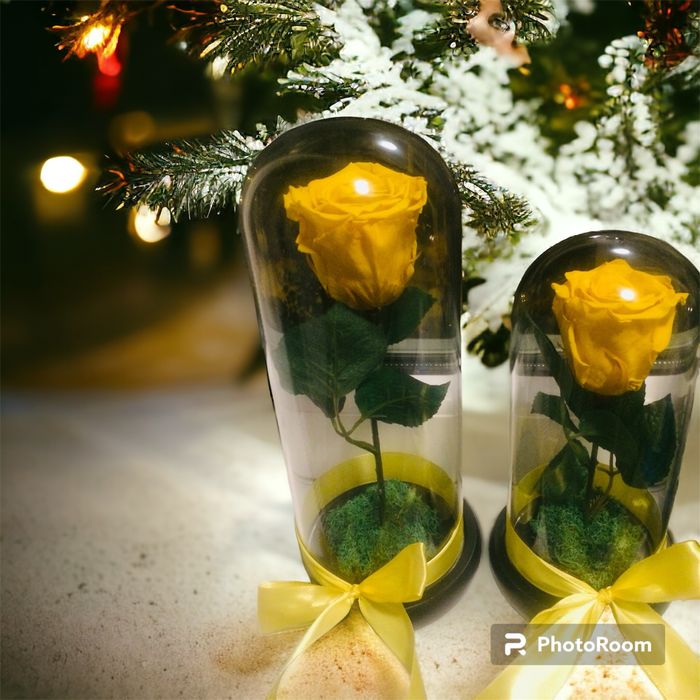 Trandafir criogenat galben in cupola de sticla