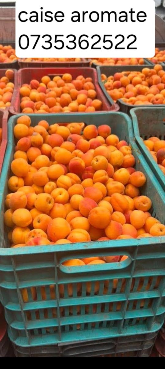Produse fructe pentru băuturi spirtoase tradiționale super calitate.