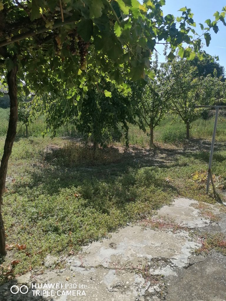 Продава се Парцел в Варна, Погреби - 800 кв.м за 19 €/кв.м - Снимка #3