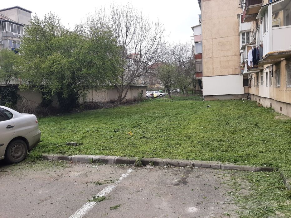 Servicii Gazon și Grădină: Curățare, Tăiere, Însămânțare, Întreținere!
