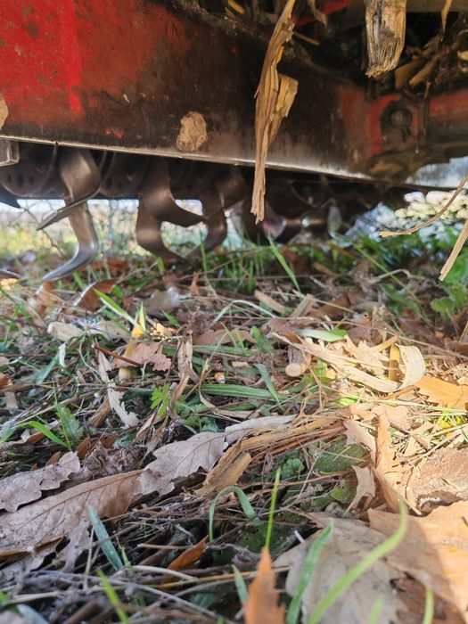 Culegatoare porumb Zmaj