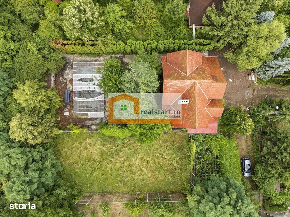 Pet Friendly, Vedere Padure, 5000mp teren, D+P+1E+M, semineu, foisor