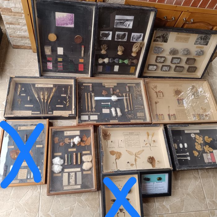 Учебни модели по Биология и география в дървена рамка със стъкло