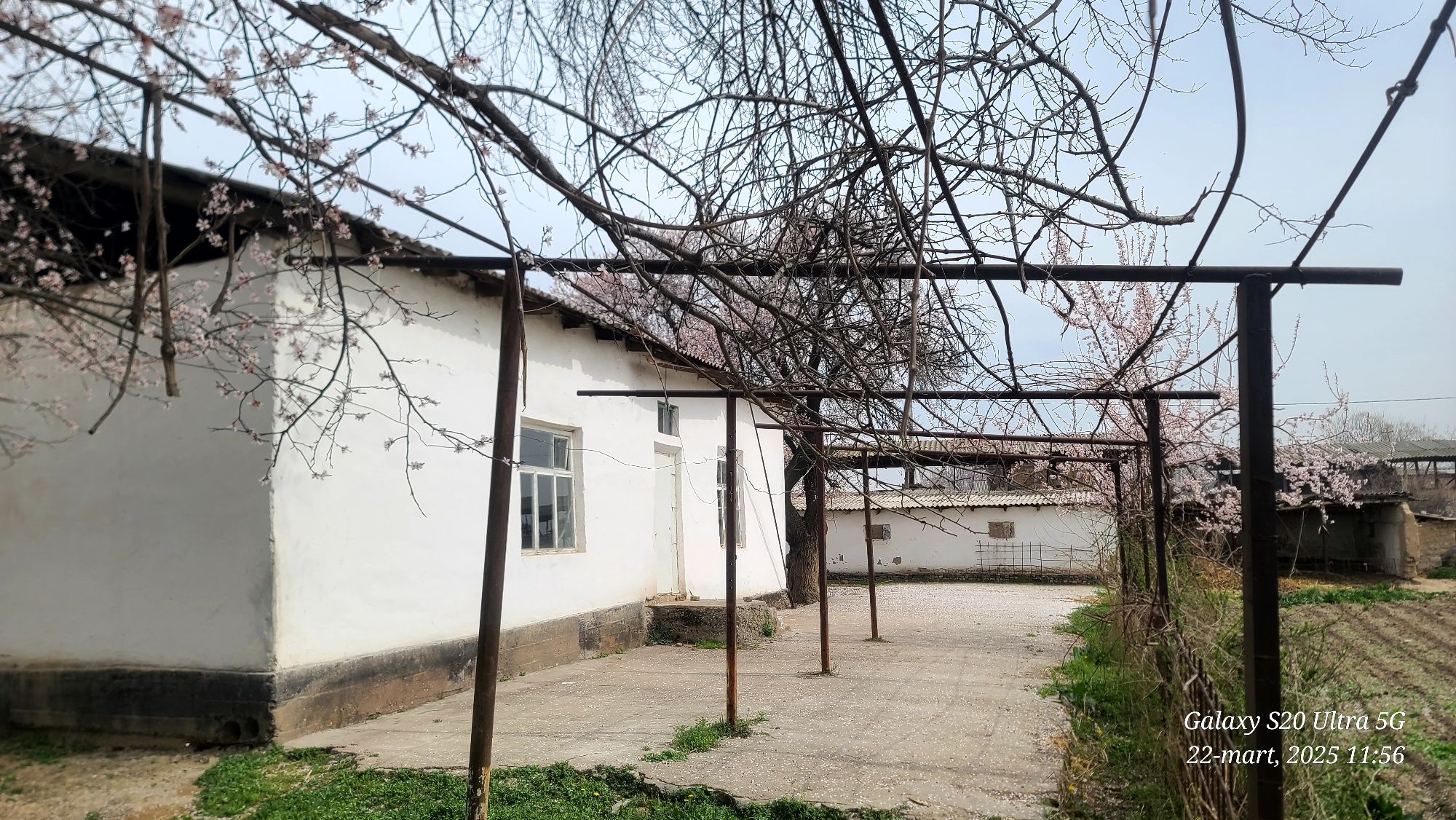 Toshkent viloyati Bóka tumani, Xujjatlar xammasi joida