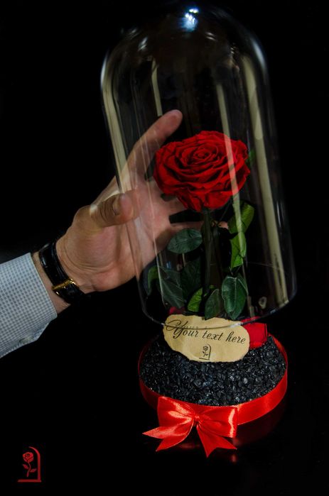 Истинска Вечна Роза в Стъкленица / Роза Подарък за Рожден Ден на Жена