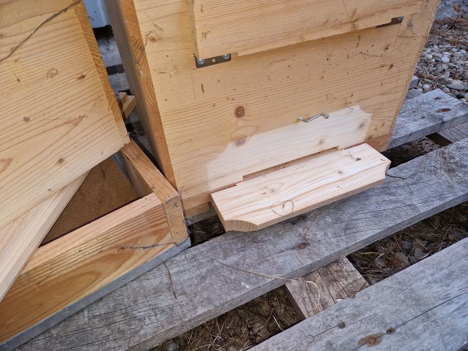 Stupi albine din lemn - Layens