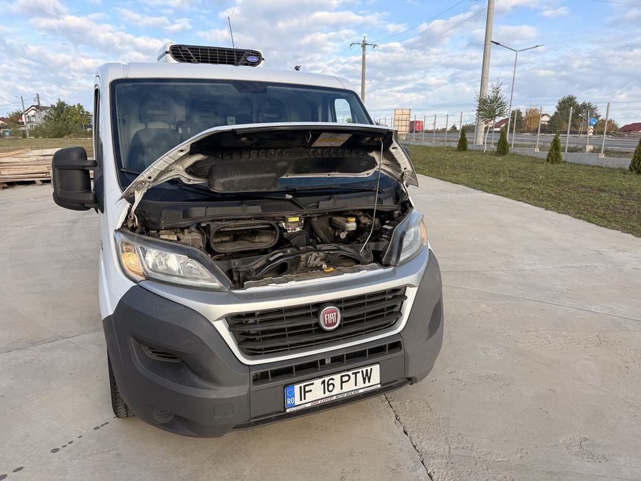 fiat ducato model 2016