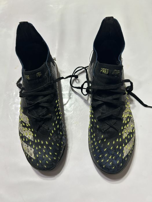 Сороконожки предаторы