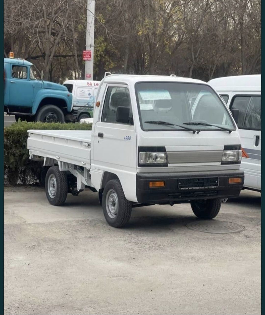 Labo (oq ) Natarius tekin bez prabeg Yangi 2025 yil