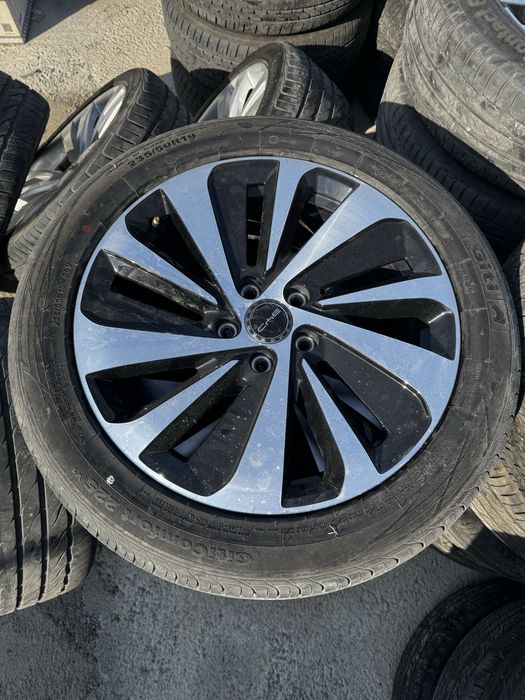 R19 BVD Chempion Deska balon Arginal