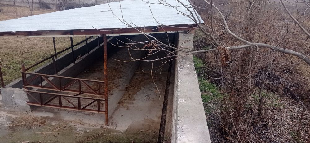 Yangiyolda hovli sotiladi 20 sotix