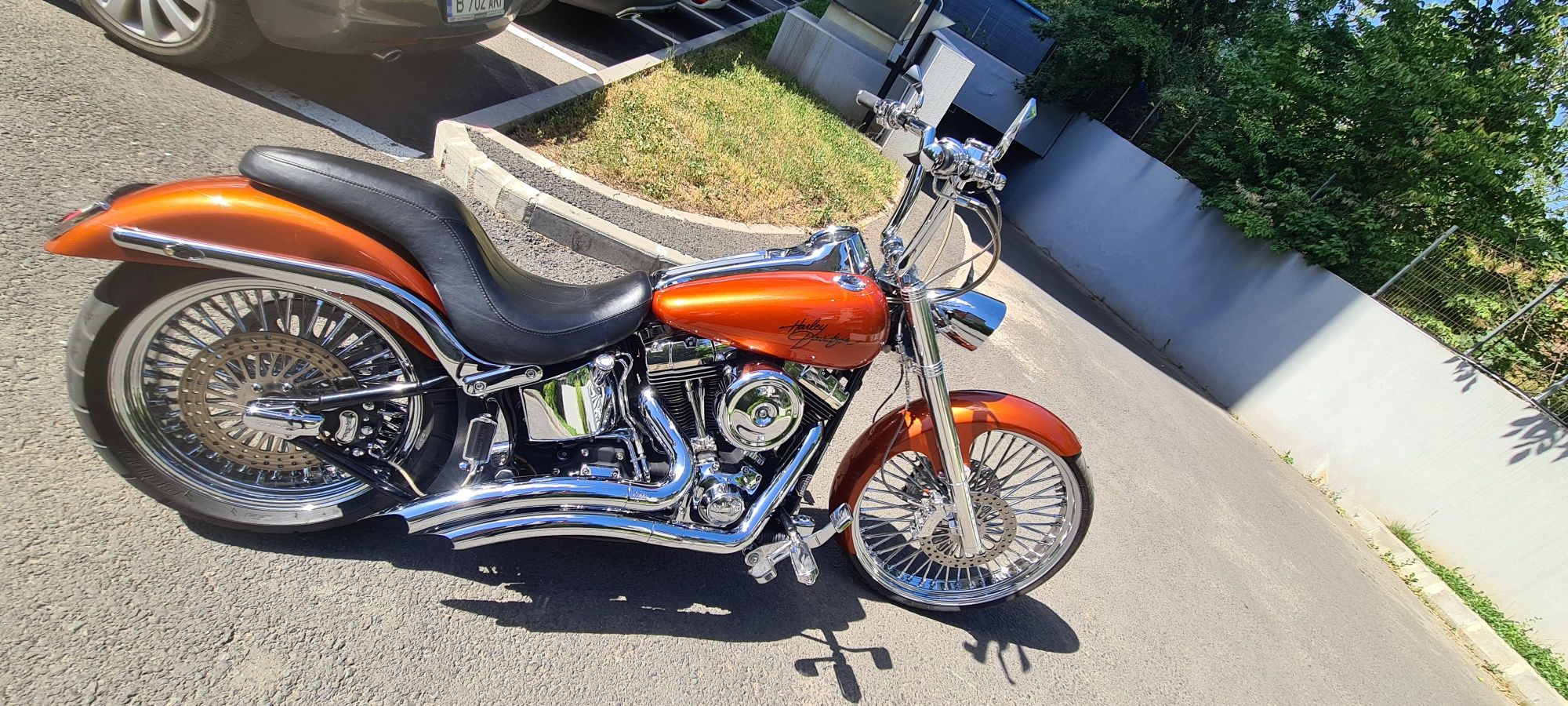 Harley Davidson Softail Custom