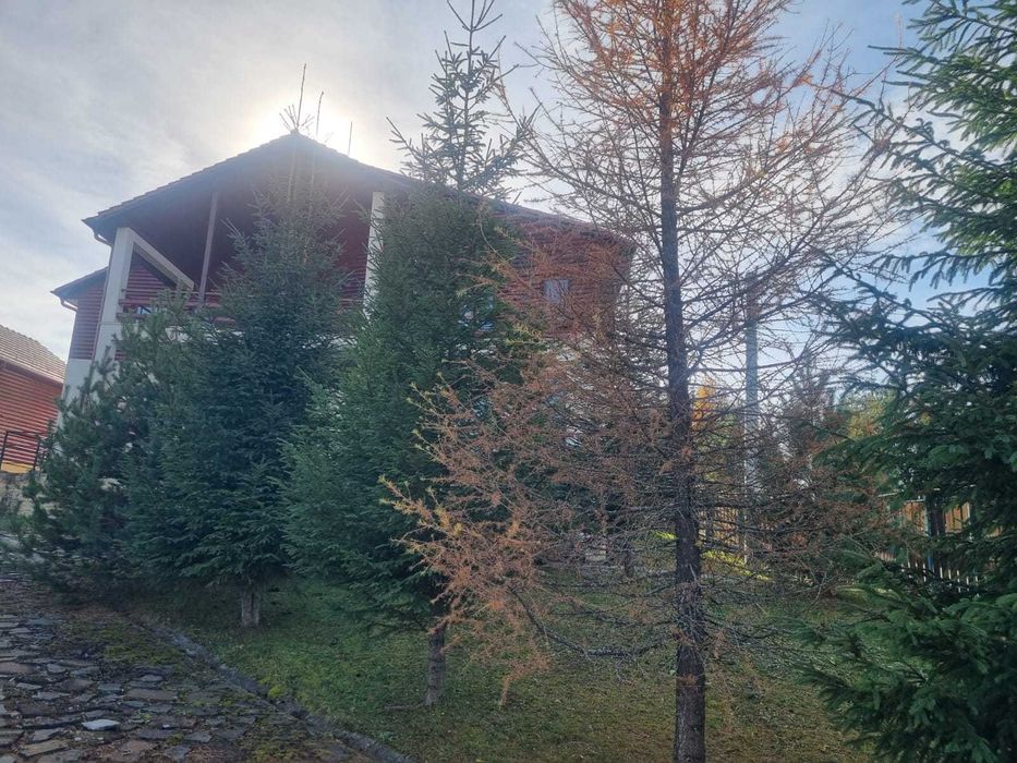 Casă de vacanță în Giurcuța de Sus, comuna Beliș, judetul Cluj+teren