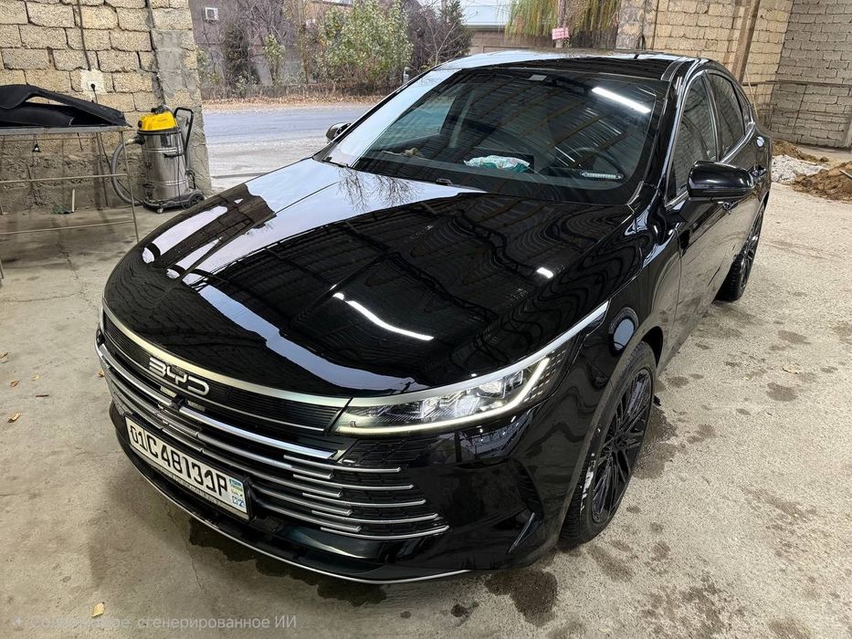 Arenda vikup BYD CHAZOR Flash chip