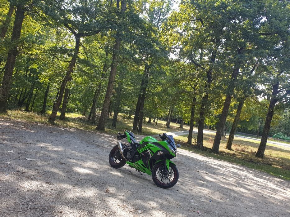 Kawasaki Ninja 300 ABS Special Edition
