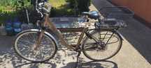 Bicicletă electrică DEVRON MILTON RST