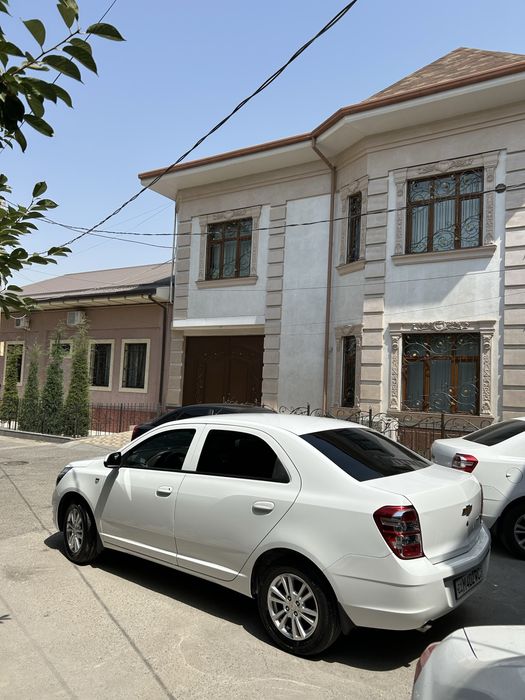 Cobalt oq kraska toza