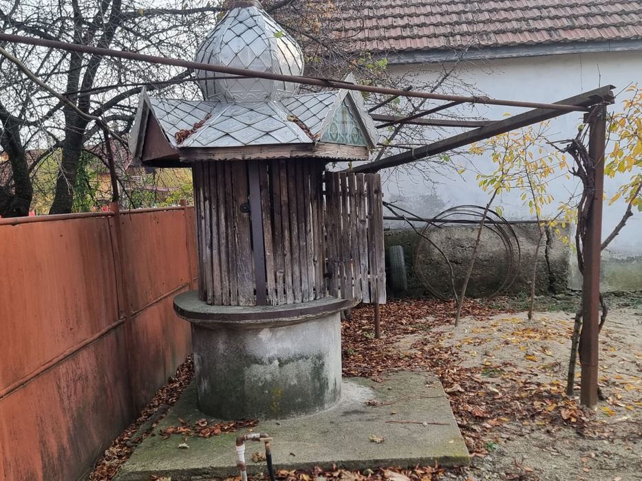 Casa + teren 6000mp, livada, vie - Sat Dumbraveni