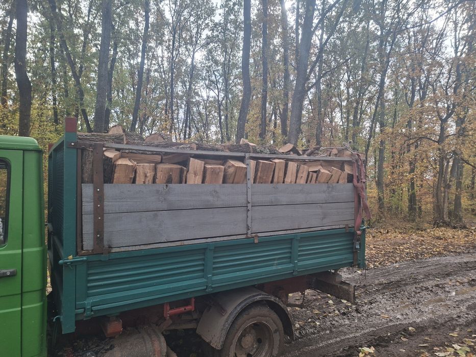 Vand lemne uscate si verzi 0️⃣7️⃣7️⃣3️⃣3️⃣2️⃣3️⃣9️⃣1️⃣7️⃣