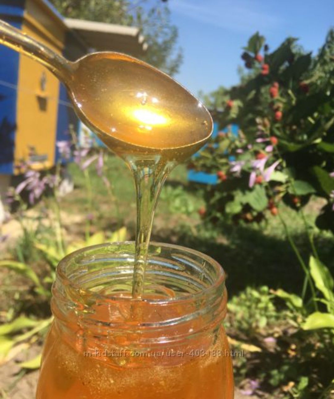 Мёд из гор чистый из Tekijangaqa