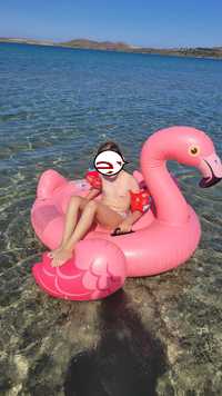 Pachet colac de apa Flamingo gonflabil + barcuta copii