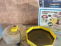 Incubator cleo 5