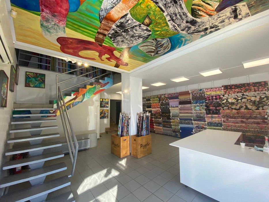 Proprietar – Spatiu comercial stradal 567 mp, Pache Protopopescu