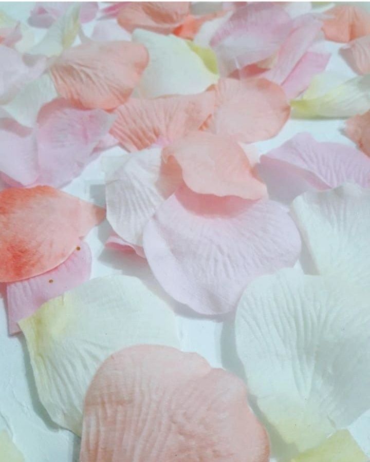 Продам ветки цветов хлопка, для фото в Инстаграм
