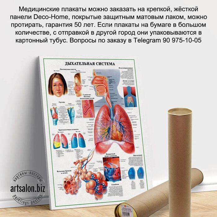 Медицинские плакаты на заказ, каталог более 1.000 видов