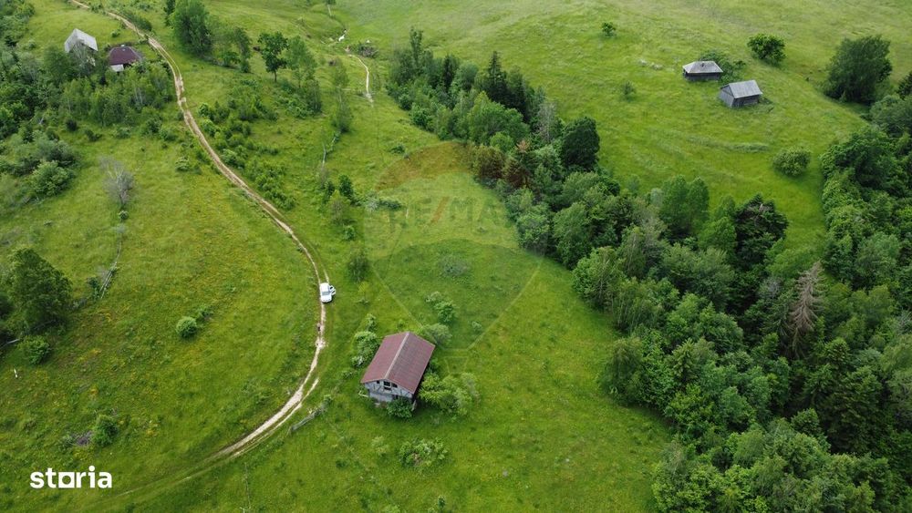 Teren de vanzare 8119 mp Calatele Padure.Muntii Apuseni