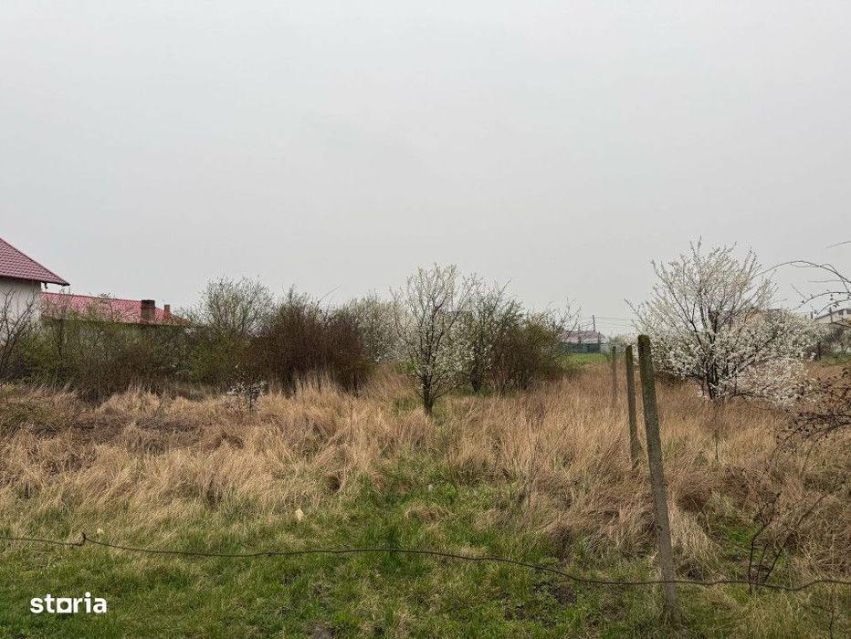 Teren de vanzare, 1024 mp, Mandresti-Munteni