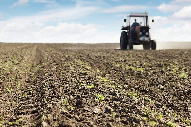 Teren arabil extravilan