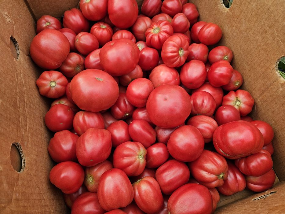 Legume consum rosii,castraveți, ardei,vinete