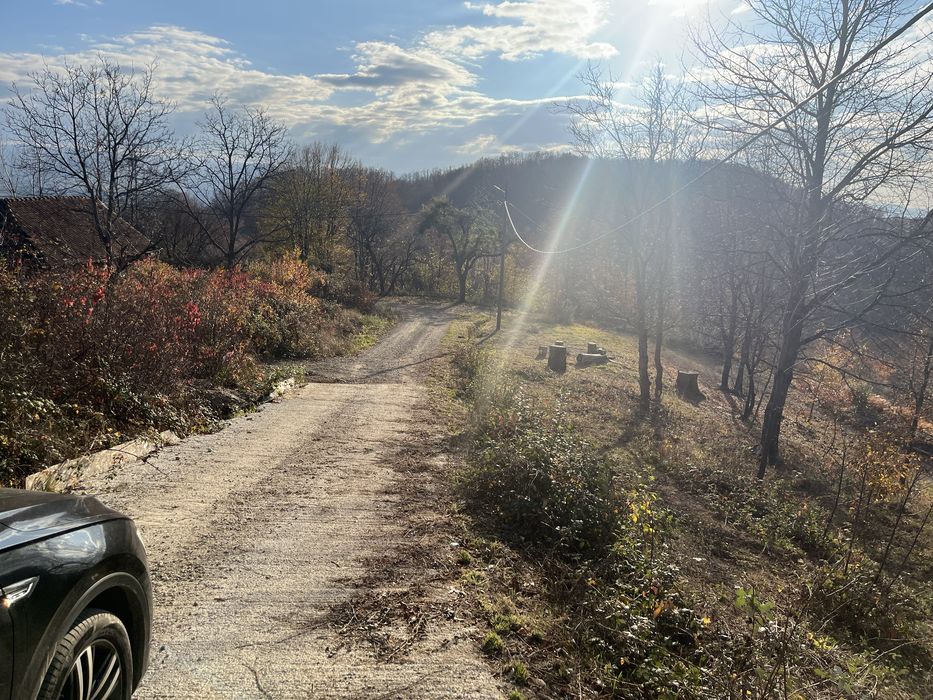 Teren Valea Gepisului cu intrare in padure