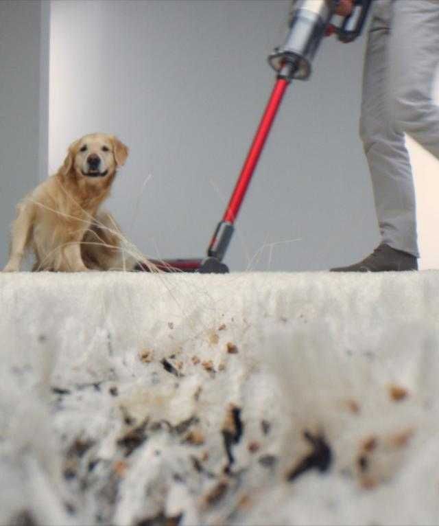 Беспроводной  пылесос Dyson Outsize