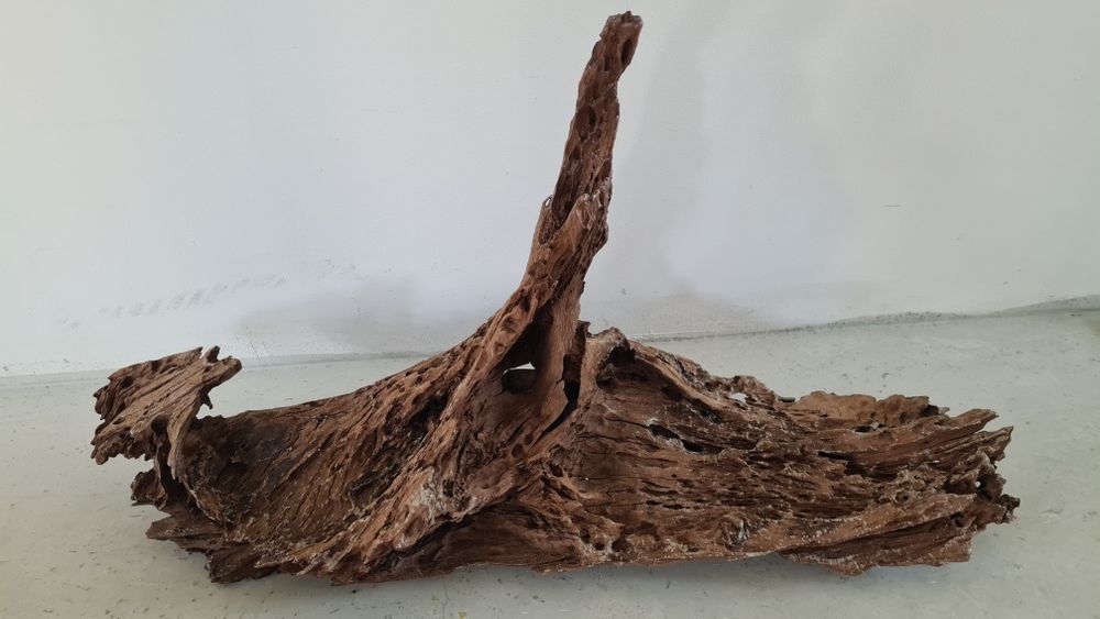 Buturuga / lemn mangrove pentru acvarii