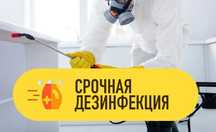 Дезинфекция от всех вредителей/дизенфекция dezinfeksiya dizenfeksiya