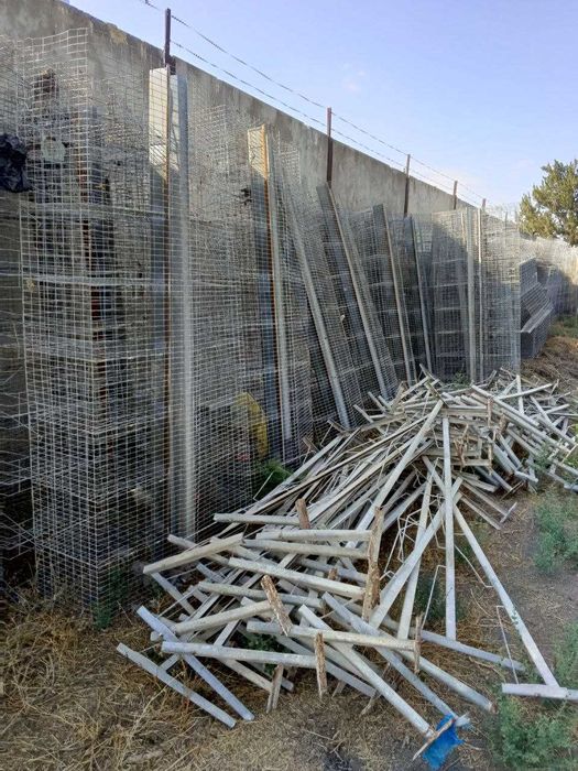 Loman sendi tovuqlar sotiladi