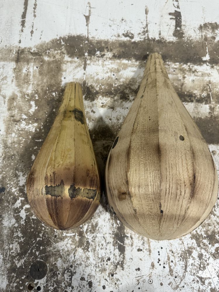 Dutor tanbur kosa