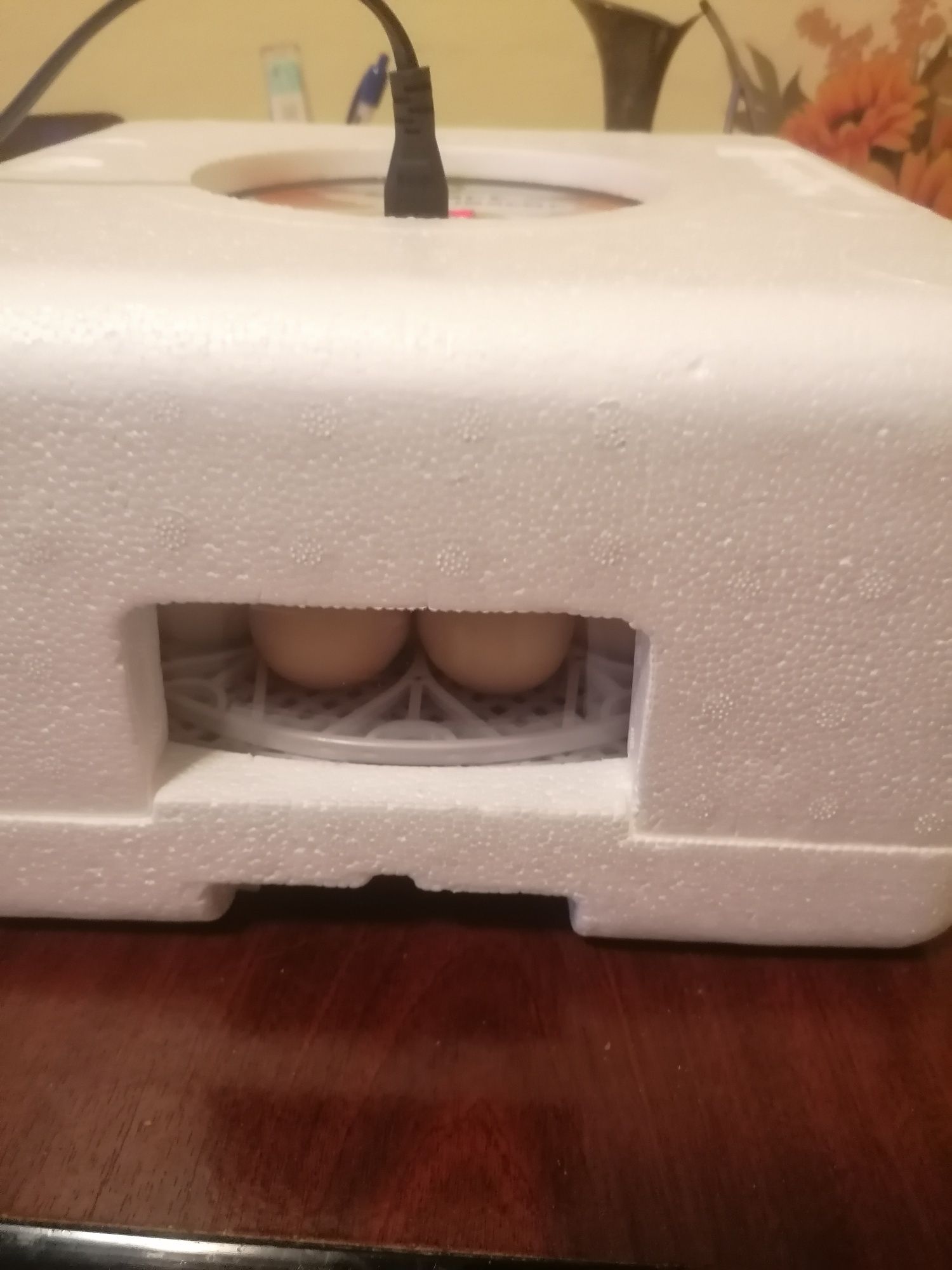 Incubator cu întoarcere automata