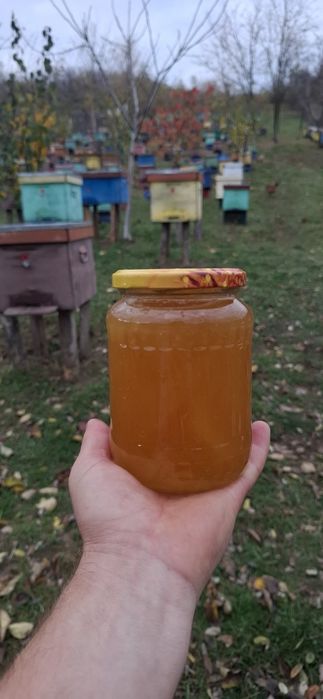 Miere de mai la preț avantajos