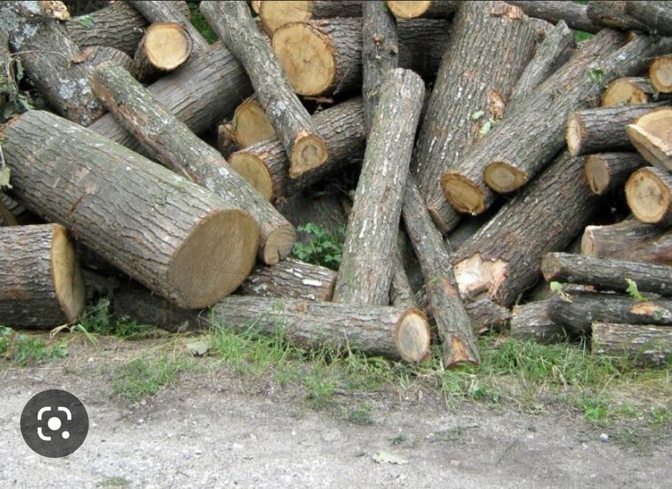 Дърва за огрев топола