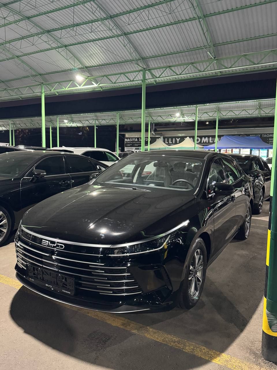 Byd Chazor bezprobeg